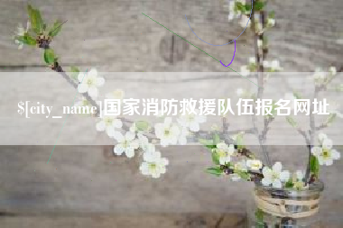 惠东国家消防救援队伍报名网址