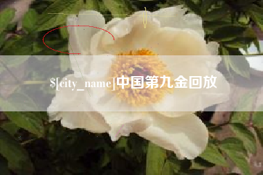 惠东中国第九金回放