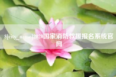 惠东2020国家消防救援报名系统官网