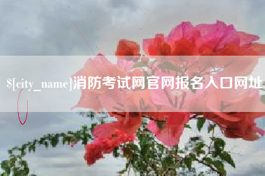惠东消防考试网官网报名入口网址