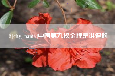 惠东中国第九枚金牌是谁得的