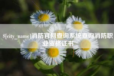 惠东消防官网查询系统查询消防职业资格证书