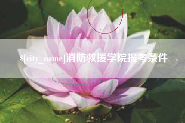 惠东消防救援学院报考条件