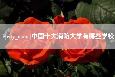 惠东中国十大消防大学有哪些学校