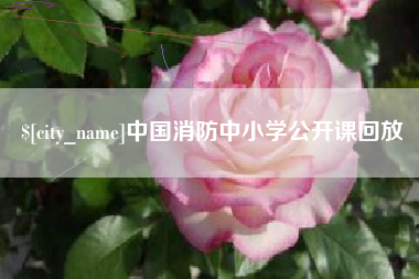 惠东中国消防中小学公开课回放