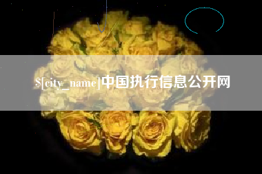 惠东中国执行信息公开网
