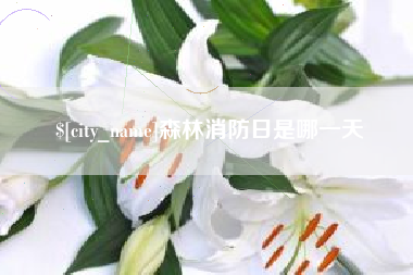 惠东森林消防日是哪一天