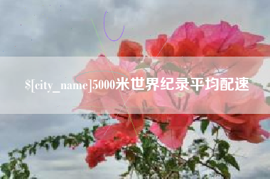 惠东5000米世界纪录平均配速