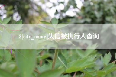 惠东失信被执行人杳询