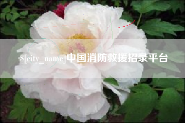 惠东中国消防救援招录平台