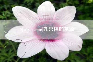 惠东九宫格的来源