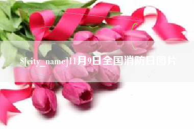 惠东11月9日全国消防日图片