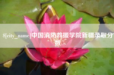 惠东中国消防救援学院新疆录取分数