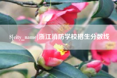 惠东浙江消防学校招生分数线
