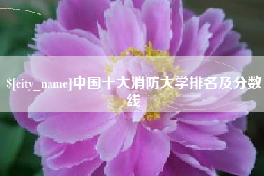 惠东中国十大消防大学排名及分数线