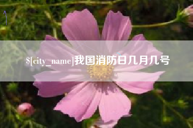 惠东我国消防日几月几号