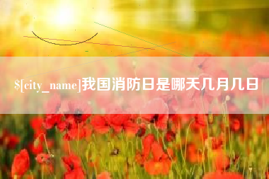 惠东我国消防日是哪天几月几日
