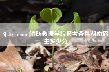 惠东消防救援学院报考条件湖南招生多少分