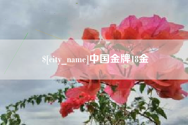 惠东中国金牌18金