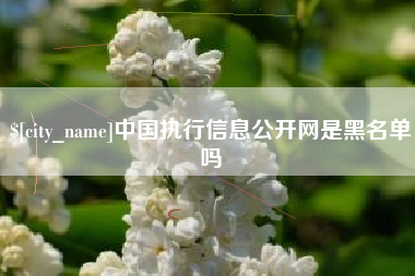 惠东中国执行信息公开网是黑名单吗