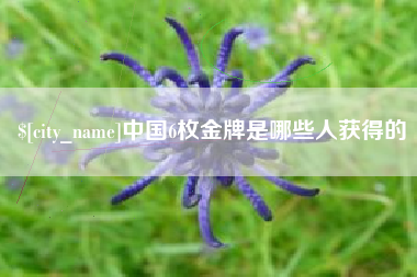 惠东中国6枚金牌是哪些人获得的