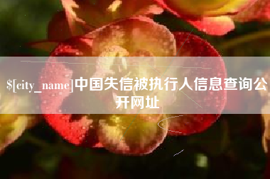 惠东中国失信被执行人信息查询公开网址