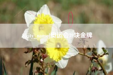 惠东奥运会39块金牌