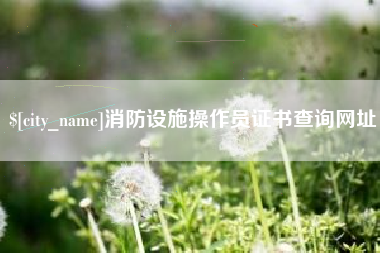 惠东消防设施操作员证书查询网址