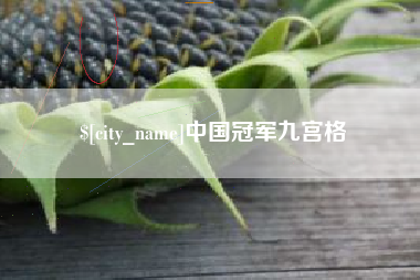 惠东中国冠军九宫格