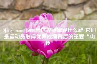 惠东5000米世界冠军穿什么鞋-它们是运动员取得优异成绩背后的重要“功臣”