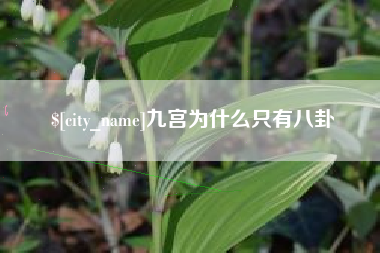 惠东九宫为什么只有八卦