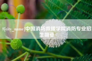 惠东中国消防救援学院消防专业招生简章