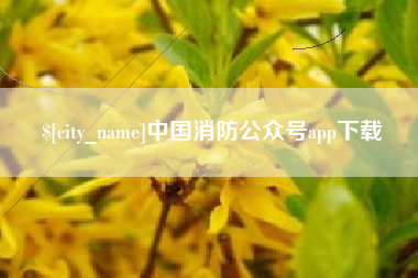 惠东中国消防公众号app下载