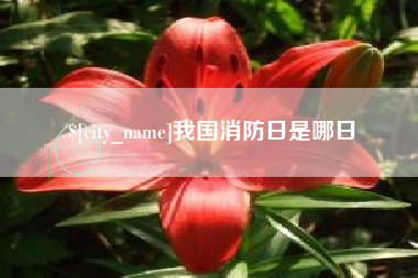 惠东我国消防日是哪日