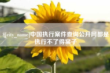 惠东中国执行案件查询公开网都是执行不了得案子