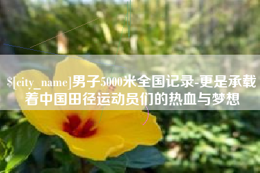 惠东男子5000米全国记录-更是承载着中国田径运动员们的热血与梦想