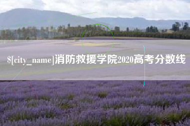 惠东消防救援学院2020高考分数线