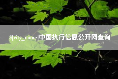 惠东中国执行信息公开网查询