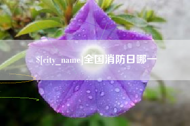 惠东全国消防日哪一