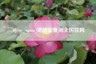 惠东消防证查询全国联网