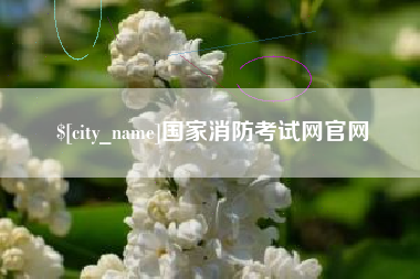 惠东国家消防考试网官网