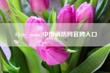 惠东中国消防网官网入口