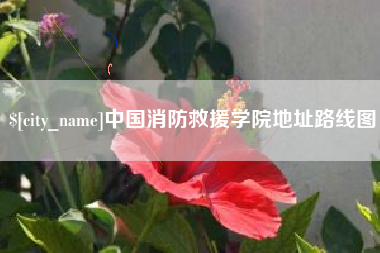 惠东中国消防救援学院地址路线图
