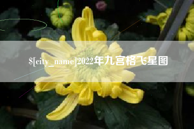 惠东2022年九宫格飞星图