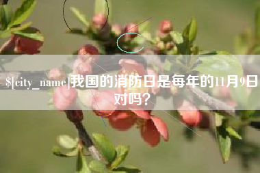 惠东我国的消防日是每年的11月9日对吗？