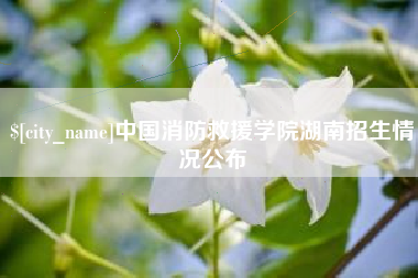 惠东中国消防救援学院湖南招生情况公布