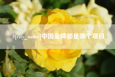 惠东中国金牌都是哪个项目