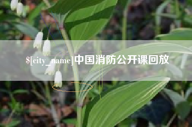 惠东中国消防公开课回放