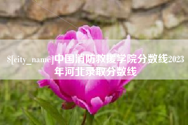 惠东中国消防救援学院分数线2023年河北录取分数线