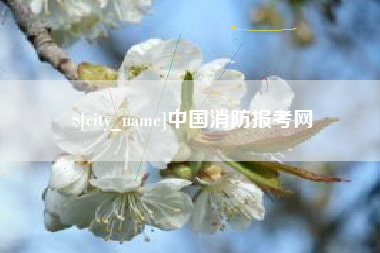 惠东中国消防报考网
